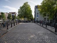 bike racks and bicycles are lined up on a brick road that extends into a city