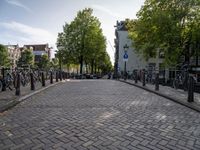 bike racks and bicycles are lined up on a brick road that extends into a city