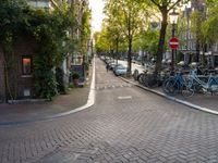 a paved city street with some bikes parked by it's side and several trees