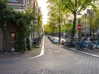 a paved city street with some bikes parked by it's side and several trees