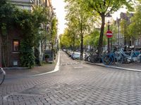 a paved city street with some bikes parked by it's side and several trees