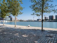 a view of the water and some trees on the side walk, with some people sitting at an outdoor bench in front of it