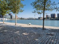 a view of the water and some trees on the side walk, with some people sitting at an outdoor bench in front of it