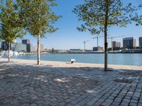 a view of the water and some trees on the side walk, with some people sitting at an outdoor bench in front of it