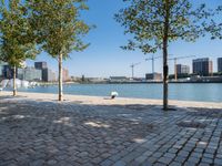 a view of the water and some trees on the side walk, with some people sitting at an outdoor bench in front of it