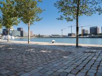 a view of the water and some trees on the side walk, with some people sitting at an outdoor bench in front of it