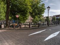 Amsterdam City Street: A Residential Area