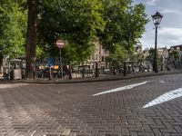 Amsterdam City Street: A Residential Area