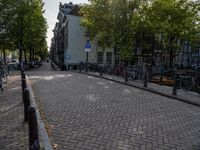 bicycles are parked in an urban bike lane on the cobblestone street with trees and buildings