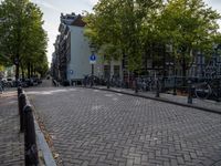 bicycles are parked in an urban bike lane on the cobblestone street with trees and buildings