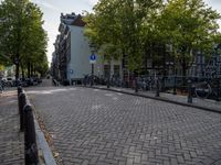 bicycles are parked in an urban bike lane on the cobblestone street with trees and buildings