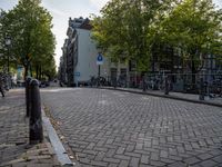 bicycles are parked in an urban bike lane on the cobblestone street with trees and buildings