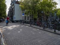 bicycles are parked in an urban bike lane on the cobblestone street with trees and buildings