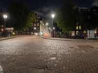 night scene of city block with cobblestone pathway and multiple light posts and lights