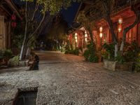 Ancient China: Cobblestone Roads and Historic Architecture