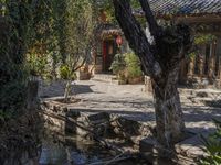 a tree sitting next to a fountain surrounded by trees and rocks'' a house is in the background