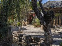 a tree sitting next to a fountain surrounded by trees and rocks'' a house is in the background