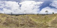 an image of some animals on a hill above grass and water and some mountains with trees