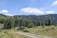 a small plane is flying over a field with a dirt road near it and pine trees on the mountain