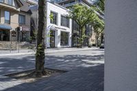 a tree sitting on top of a street next to a building and sidewalk with brick pavers