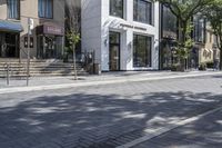 a tree sitting on top of a street next to a building and sidewalk with brick pavers