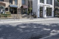 a tree sitting on top of a street next to a building and sidewalk with brick pavers