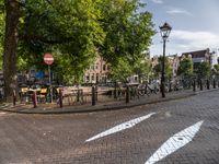 an image of a bicycle lane with benches at the curb and a stop sign in the middle of the street