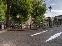 an image of a bicycle lane with benches at the curb and a stop sign in the middle of the street