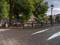 an image of a bicycle lane with benches at the curb and a stop sign in the middle of the street