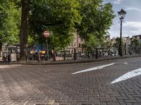 an image of a bicycle lane with benches at the curb and a stop sign in the middle of the street