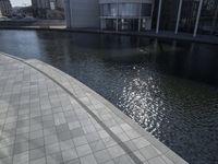 a group of people walking along a walkway next to water and buildings with windows and shadows on it