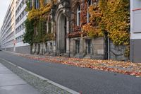 the building is covered in ivy and leaves on the street side of the street near the street are several windows