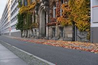 the building is covered in ivy and leaves on the street side of the street near the street are several windows