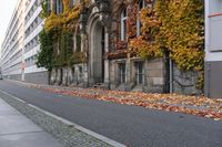 the building is covered in ivy and leaves on the street side of the street near the street are several windows