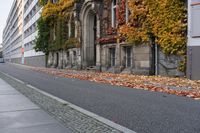 the building is covered in ivy and leaves on the street side of the street near the street are several windows