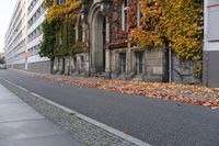 the building is covered in ivy and leaves on the street side of the street near the street are several windows