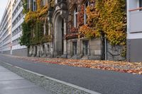 the building is covered in ivy and leaves on the street side of the street near the street are several windows