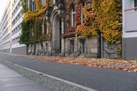 the building is covered in ivy and leaves on the street side of the street near the street are several windows