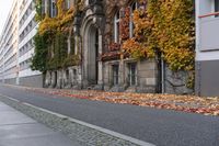 the building is covered in ivy and leaves on the street side of the street near the street are several windows