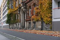 the building is covered in ivy and leaves on the street side of the street near the street are several windows