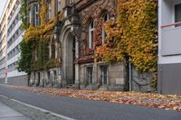 the building is covered in ivy and leaves on the street side of the street near the street are several windows