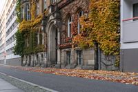 the building is covered in ivy and leaves on the street side of the street near the street are several windows