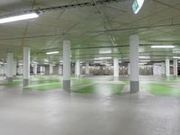 green and white checkered floor in an empty building with large columns and green carpet