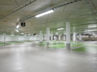 green and white checkered floor in an empty building with large columns and green carpet