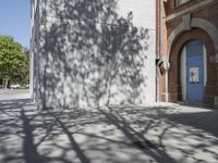 the shadow of a leafless tree on a sidewalk and a building with a blue door