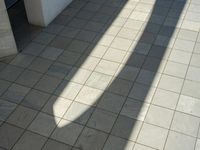 the shadow of a skateboarder in a bathroom on the tiled floor outside a bathtub