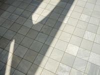 the shadow of a skateboarder in a bathroom on the tiled floor outside a bathtub