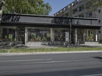 a store with no cars on the street next to a tree and grass field near a street