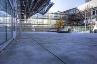 a concrete area with windows, chairs and yellow leaf litter in front of it,