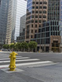 this is an empty city street with a yellow fire hydrant in the foreground